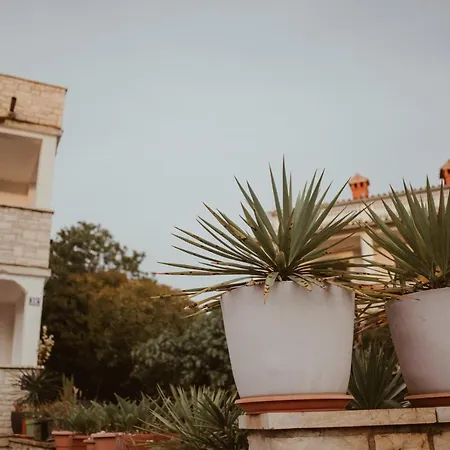 Apartment Perla Porec